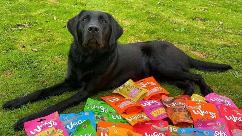 How much wagg food to feed your pooch