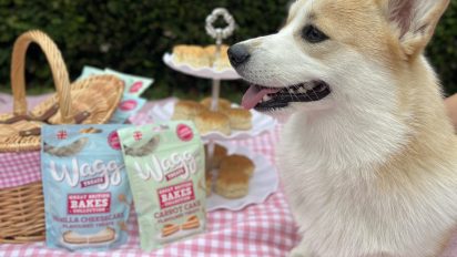 How We Developed Our Great British Bakes Collection: Dessert-Inspired Dog Treats Made with Love!