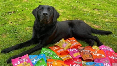 How Much Wagg Food to Feed Your Pooch