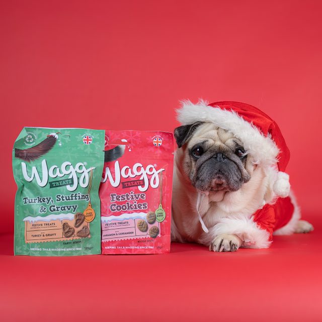 WAGG x INSTADOGGO by Puggy Smalls 02