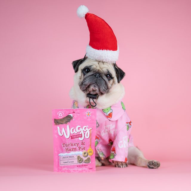 WAGG x INSTADOGGO by Puggy Smalls 06