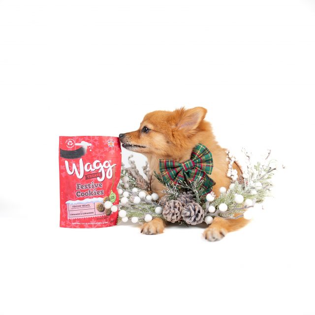 WAGG x INSTADOGGO by Puggy Smalls 08