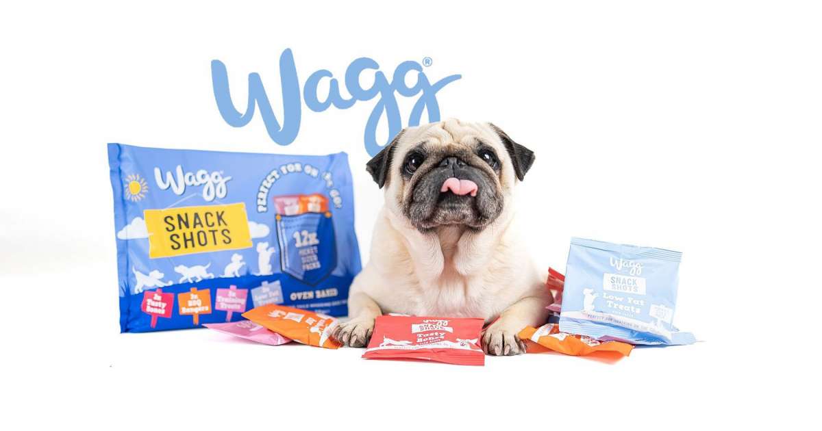 Pug snacks clearance