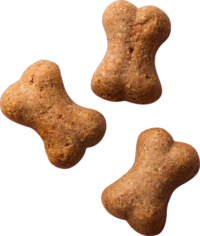 Wagg Yumms Crunchy Biscuit Dog Treats with Liver